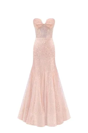 Entrance-worthy semi-transparent rose gold maxi sequined dress